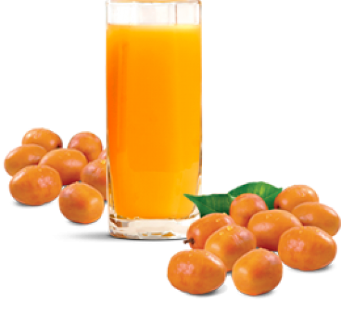 Suco - cajá com leite, 500ml